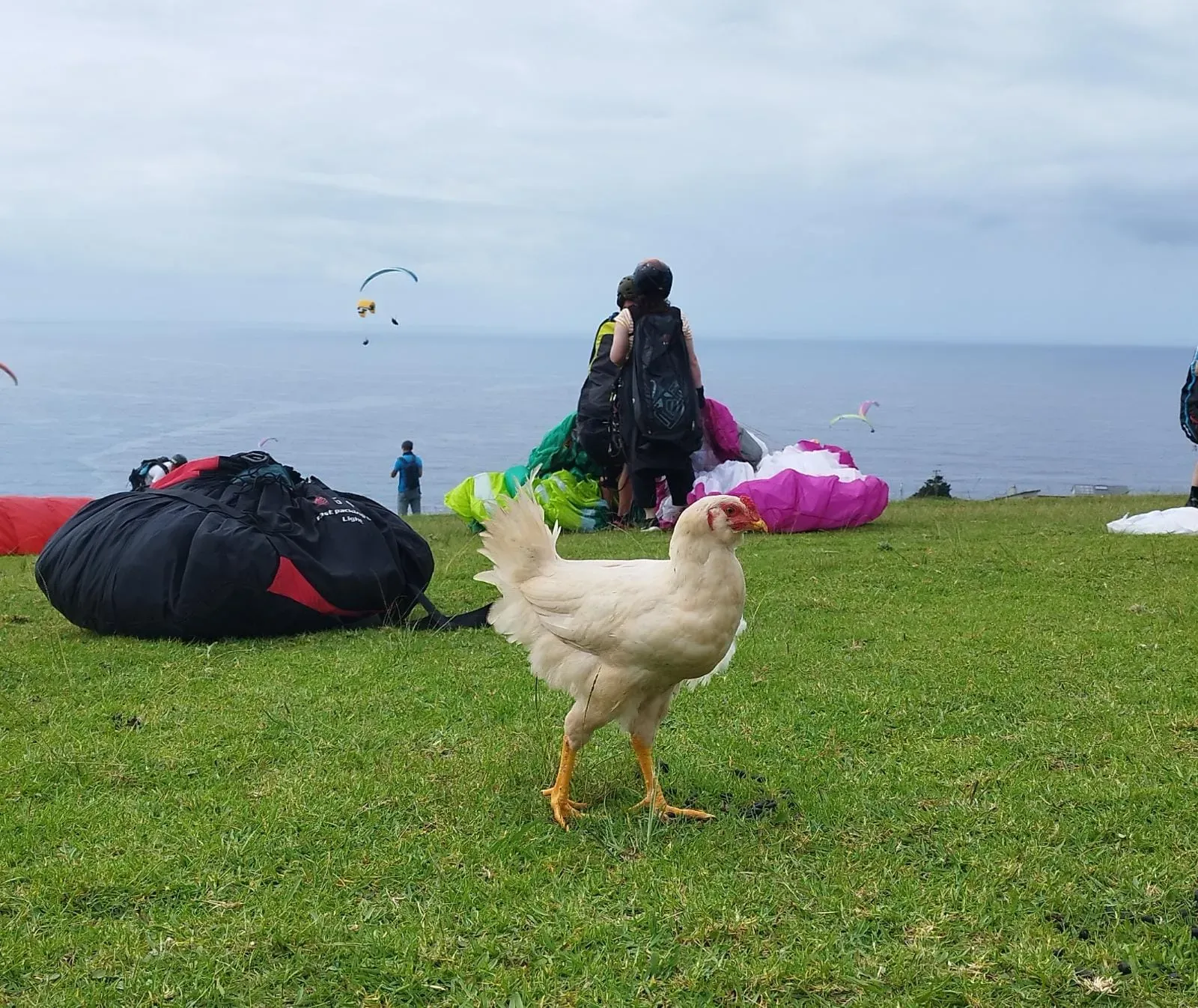 Paragliding on XC & thermalling – South Africa